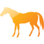 horse 4