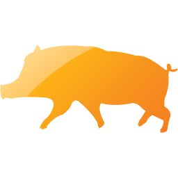 pig 10 icon