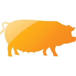 pig 3 icon