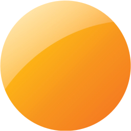 record icon