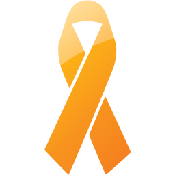 ribbon 17 icon