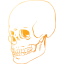 skull 38