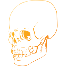 skull 38 icon