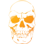 skull 41