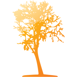 tree 16 icon