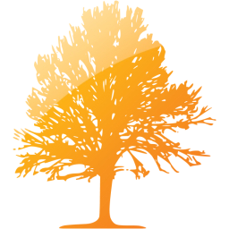 tree 24 icon