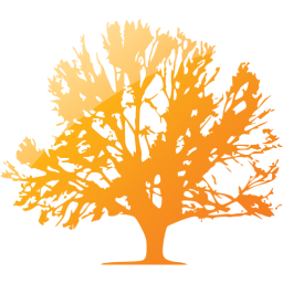 tree 41 icon