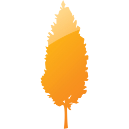 tree 50 icon