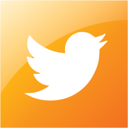 twitter 2 icon