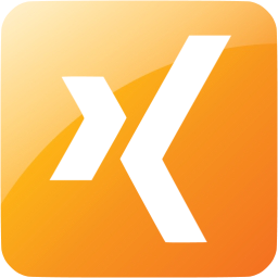 xing 3 icon