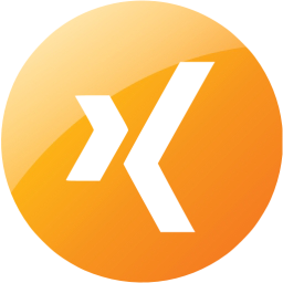 xing 4 icon