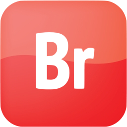 adobe br icon