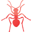 ant