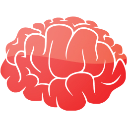 brain 2 icon