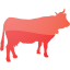 cow 2