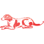 dog 29