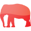 elephant 4