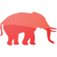 elephant 5