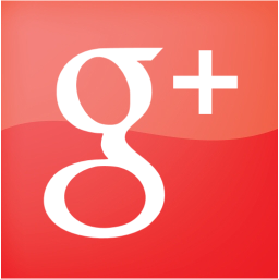 google plus 2 icon