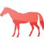 horse 4