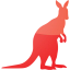 kangaroo