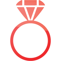 ring 2 icon