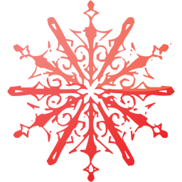 snowflake 10 icon