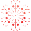 snowflake 12