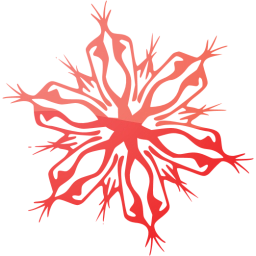 snowflake 4 icon
