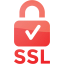 ssl badge 2