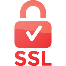 ssl badge 2 icon