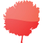 tree 61