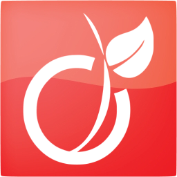 viadeo 5 icon