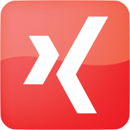 xing 3 icon