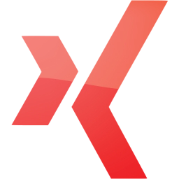 xing icon