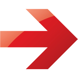 arrow 21 icon