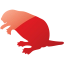 beaver