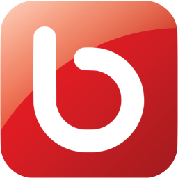 bebo icon