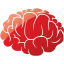 brain 2