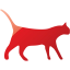 cat 3