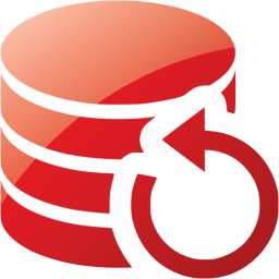data backup icon