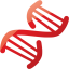 dna helix