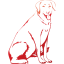 dog 13