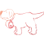 dog 18