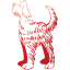 dog 25