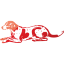 dog 29