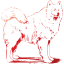 dog 4