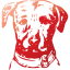 dog 6