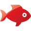 fish 2