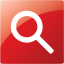 google web search